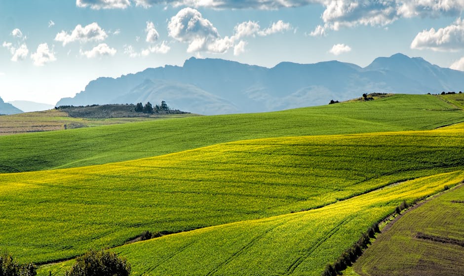 Rolling green hills representing sustainable growth